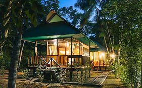 Passiflora Camp